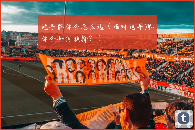 这手牌你会怎么选（面对这手牌，你会如何抉择？）