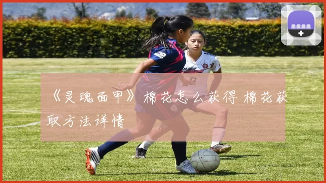 《灵魂面甲》棉花怎么获得 棉花获取方法详情