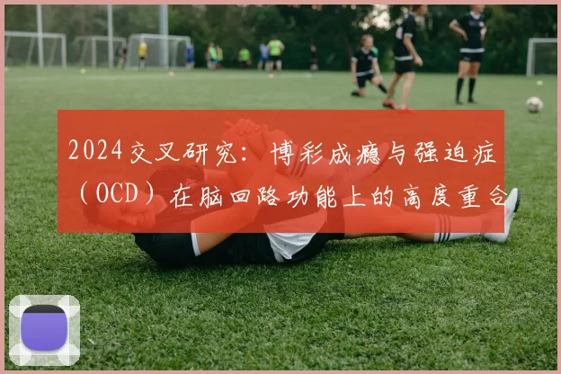 2024交叉研究：博彩成瘾与强迫症（OCD）在脑回路功能上的高度重合。（2024年跨学科研究：赌博成瘾与强迫症（OCD）的脑回路功能高度重叠）