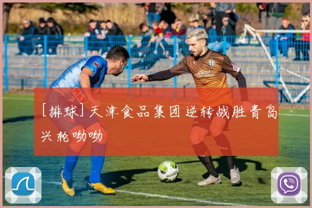 [排球]天津食品集团逆转战胜青岛兴轮呦呦