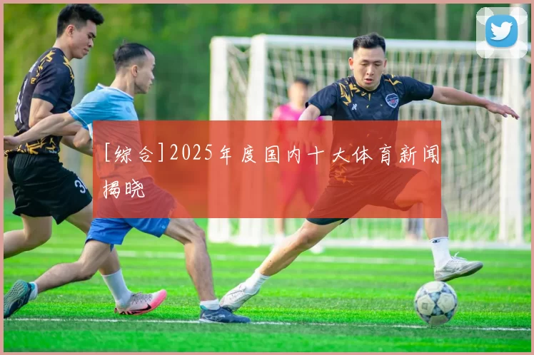[综合]2025年度国内十大体育新闻揭晓