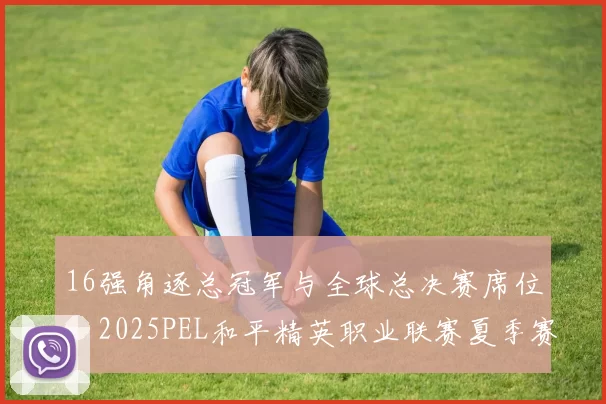 16强角逐总冠军与全球总决赛席位，2025PEL和平精英职业联赛夏季赛总决赛本周在汉开幕