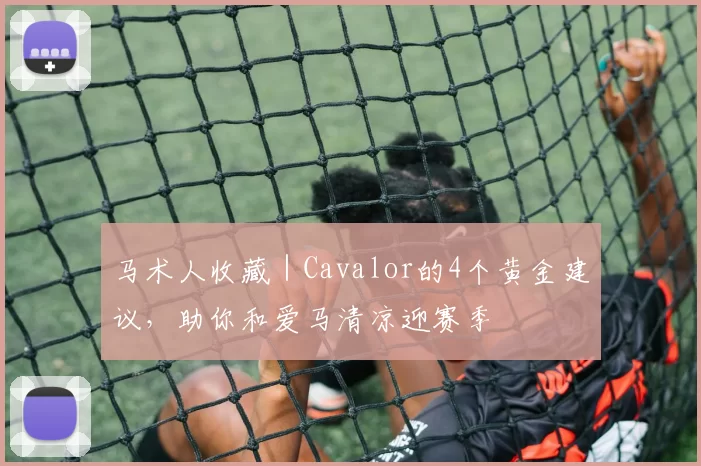 马术人收藏｜Cavalor的4个黄金建议，助你和爱马清凉迎赛季