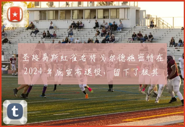 圣路易斯红雀名将戈尔德施密特在 2024 年底宣布退役，留下了极其完美的职业名声