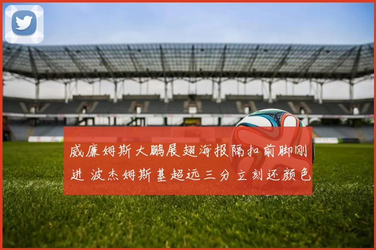 威廉姆斯大鹏展翅海报隔扣前脚刚进 波杰姆斯基超远三分立刻还颜色