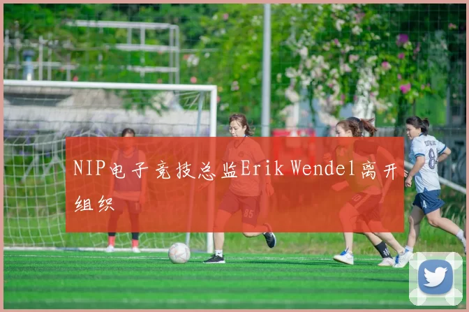 NIP电子竞技总监Erik Wendel离开组织